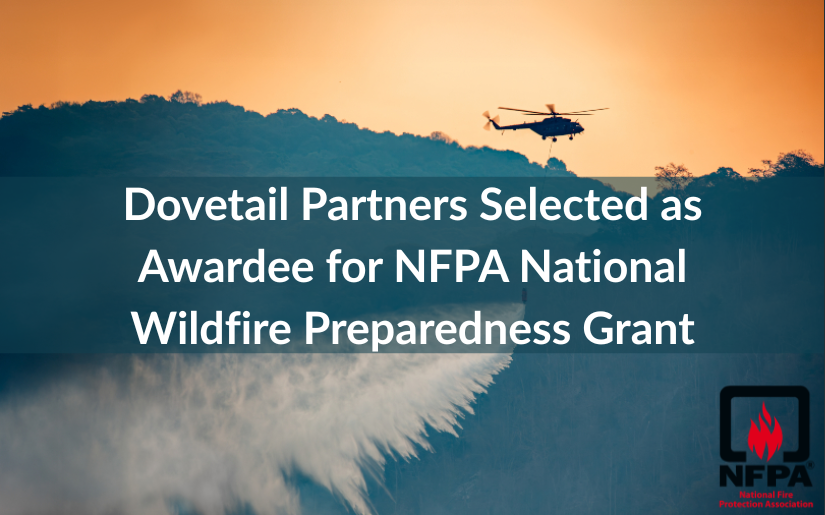 Dovetail Partners Awarded Grant to Support Wildfire Community Preparedness Day Efforts